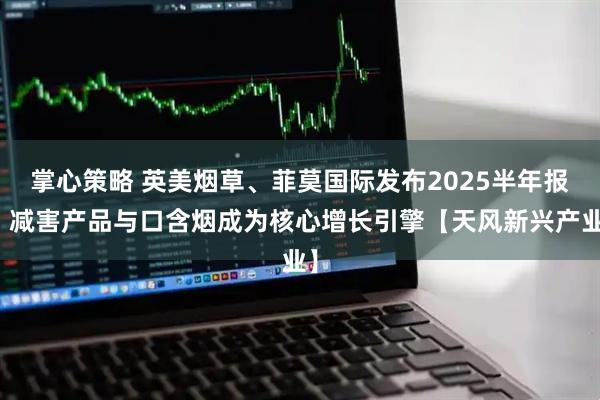 掌心策略 英美烟草、菲莫国际发布2025半年报：减害产品与口含烟成为核心增长引擎【天风新兴产业】