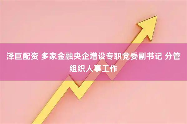 泽巨配资 多家金融央企增设专职党委副书记 分管组织人事工作
