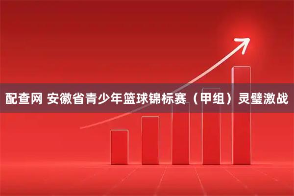 配查网 安徽省青少年篮球锦标赛（甲组）灵璧激战