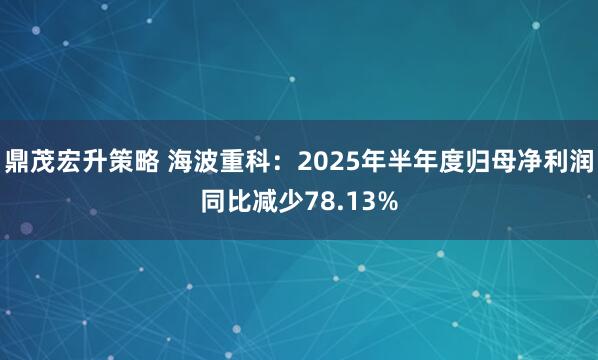 鼎茂宏升策略 海波重科：2025年半年度归母净利润同比减少78.13%