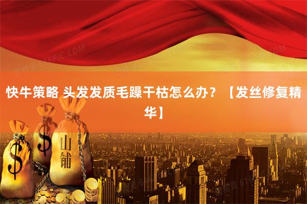 快牛策略 头发发质毛躁干枯怎么办？【发丝修复精华】