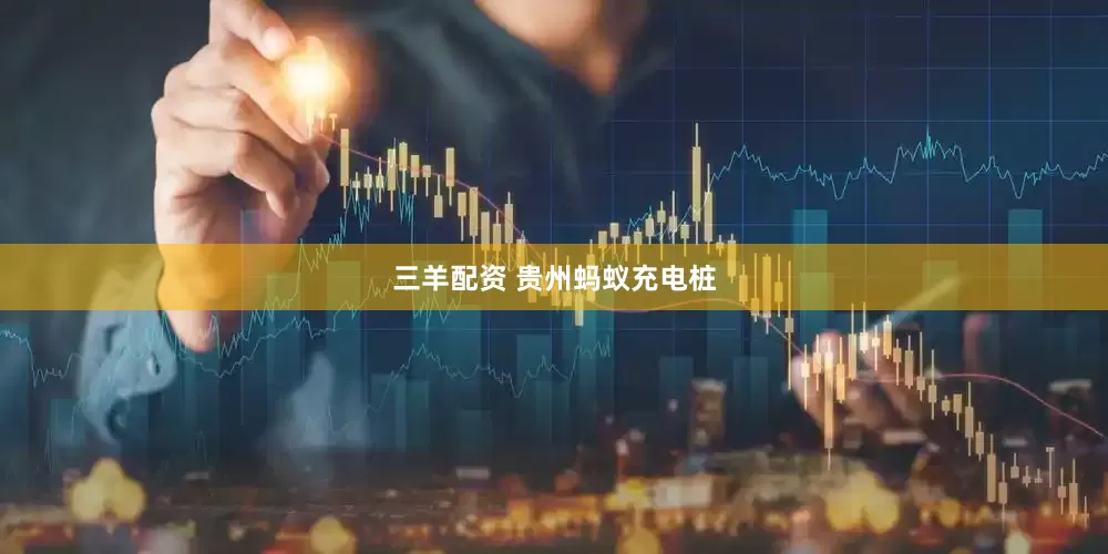 三羊配资 贵州蚂蚁充电桩